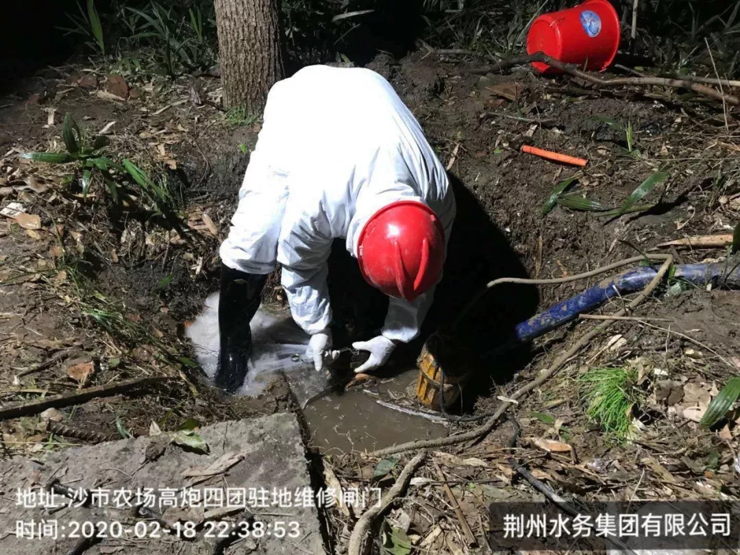 1582435043795334.jpg 1582435043795334.jpg