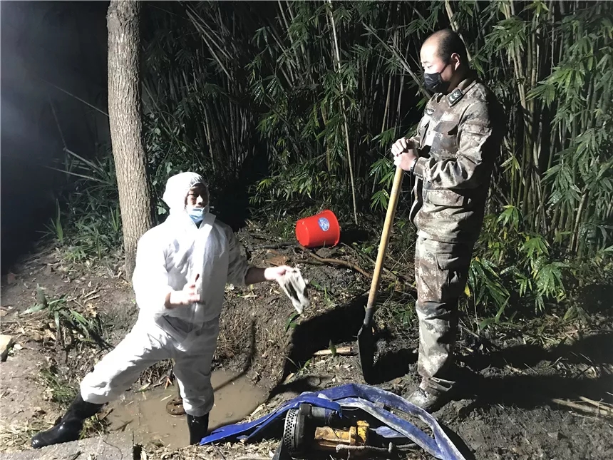 1582435109978455.jpg 640.webp (2).jpg