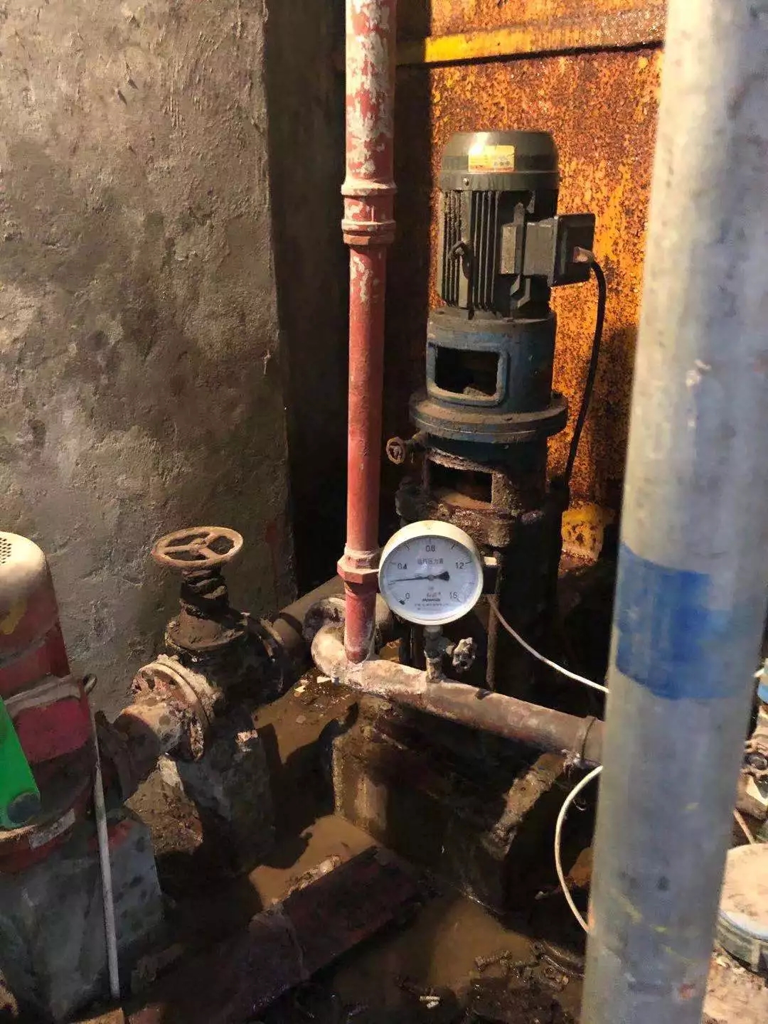 1582542402356675.jpg 1582542402356675.jpg