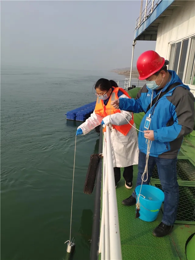 1585103057637399.jpg 640.webp (5).jpg