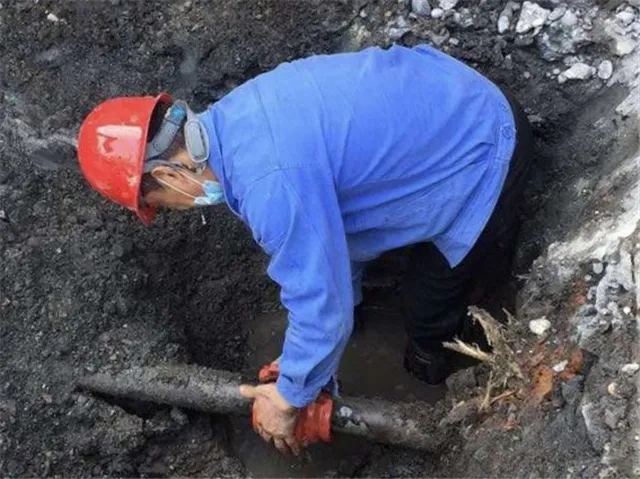 1585105794518780.jpg 640.webp (11).jpg