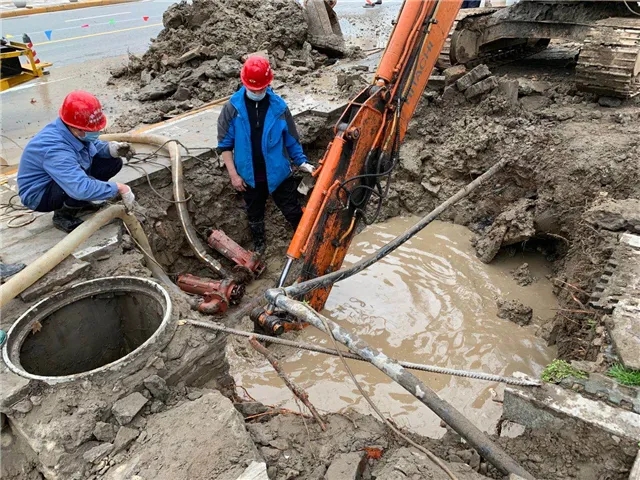 1585105839356493.jpg 640.webp (12).jpg