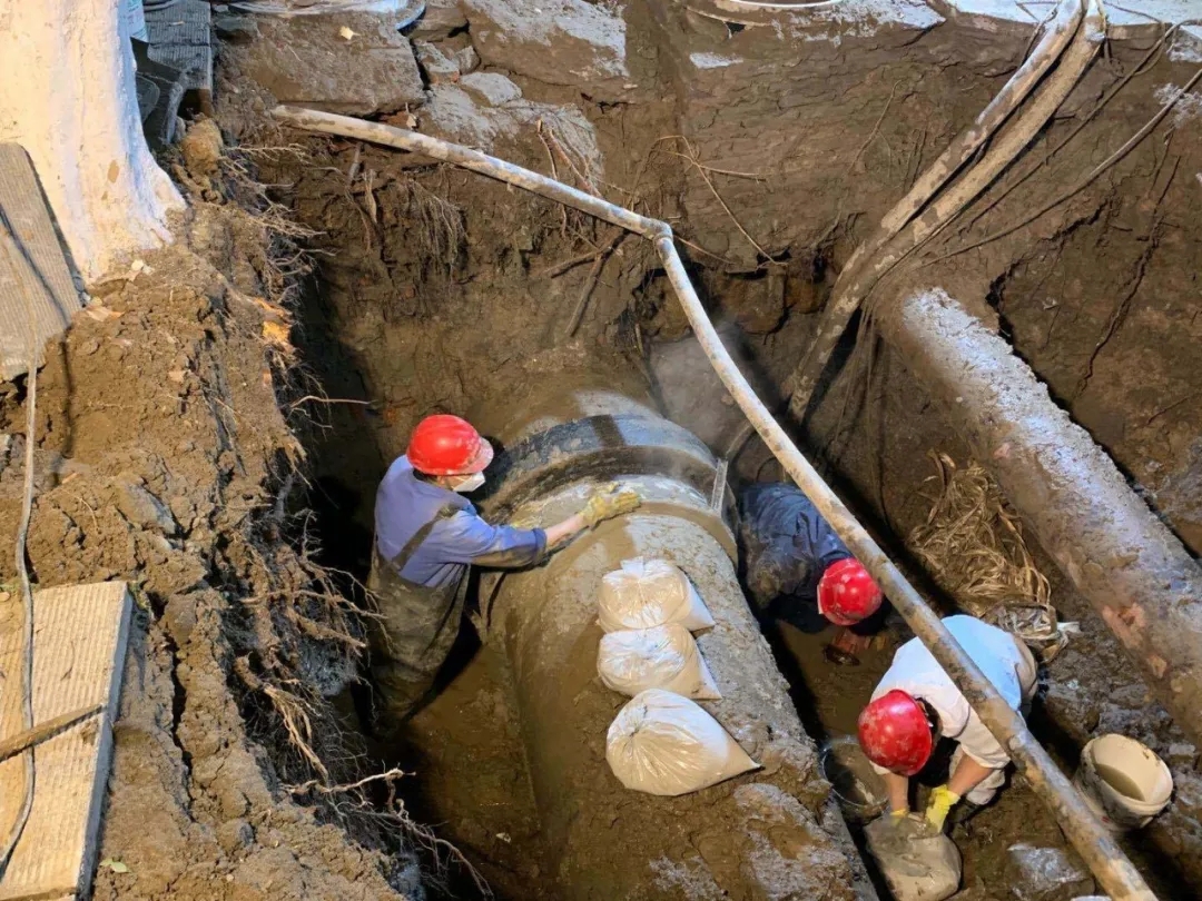 1585105844663763.jpg 1585105844663763.jpg