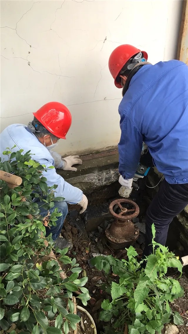 1585106419152386.jpg 1585106419152386.jpg