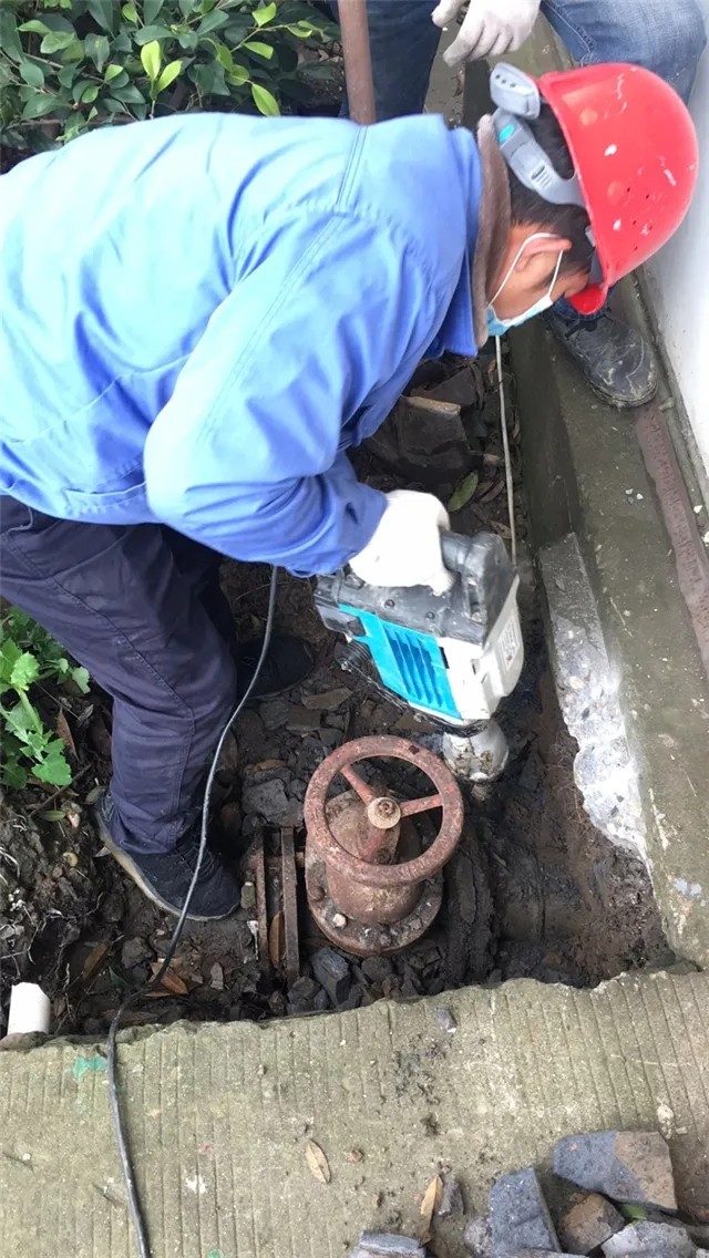 1585106470827465.jpg 1585106470827465.jpg