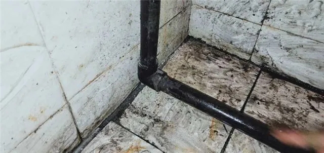 1585106554567783.jpg 640.webp (9).jpg