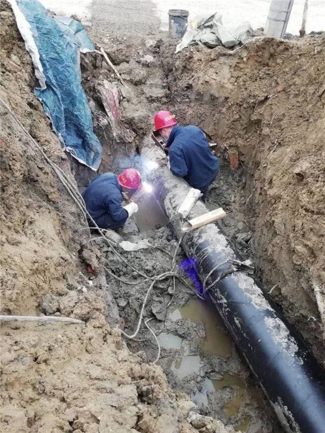 1585906056342934.jpg 640.webp (2).jpg