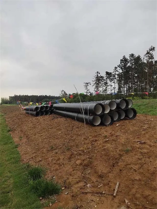 1585906129948334.jpg 640.webp (5).jpg