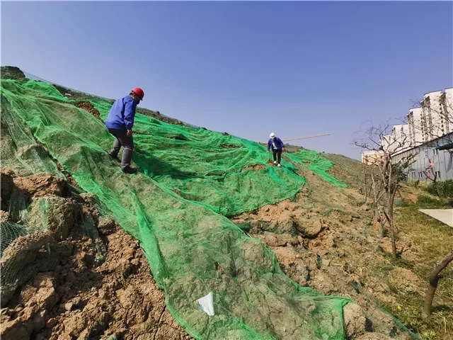 1588822325282478.jpg 640.webp (3).jpg