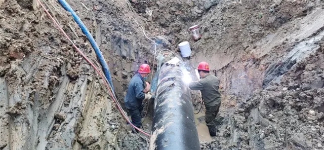 1588823612716953.jpg 640.webp (1).jpg